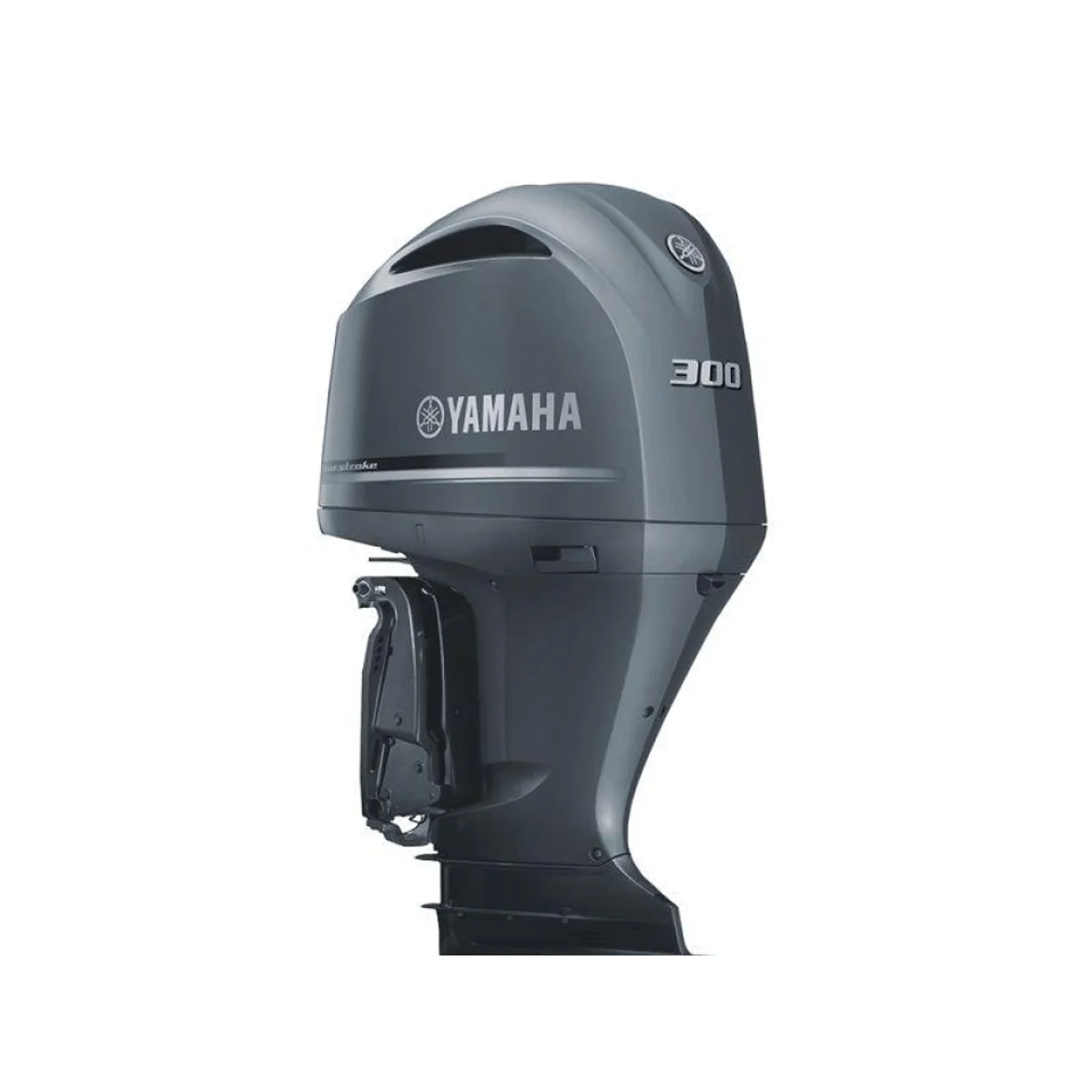 Yamaha F300NCB